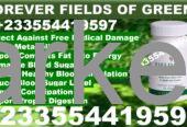 FOREVER FIELDS OF GREENS
