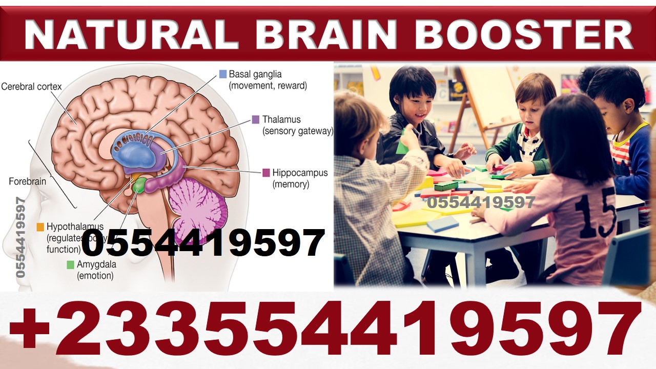 NATURAL REMEDY FOR KIDS MEMORY BOOSTER