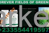 FOREVER FIELDS OF GREENS