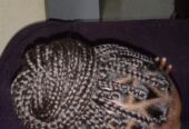 Braids and locs