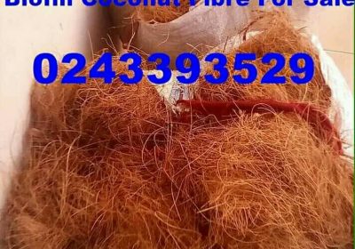 Coconut-Fiber-Copy-3